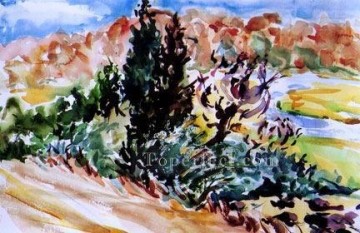 Watercolor Painting - sc077 water color
